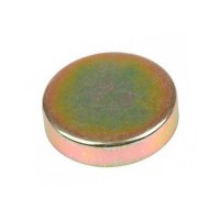 Заглушка блоку циліндрів R82007 Заглушка блоку циліндрів R82007