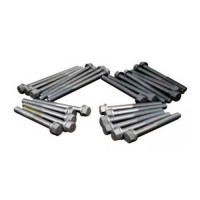 Болт головки двигателя (комплект 26 шт) RG24026